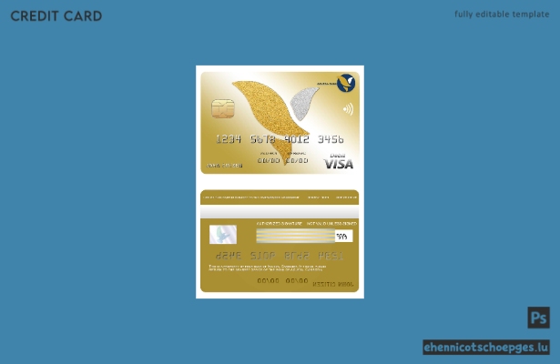 Beispielvorschau der Acleda Bank Visa-Karte aus Kambodscha